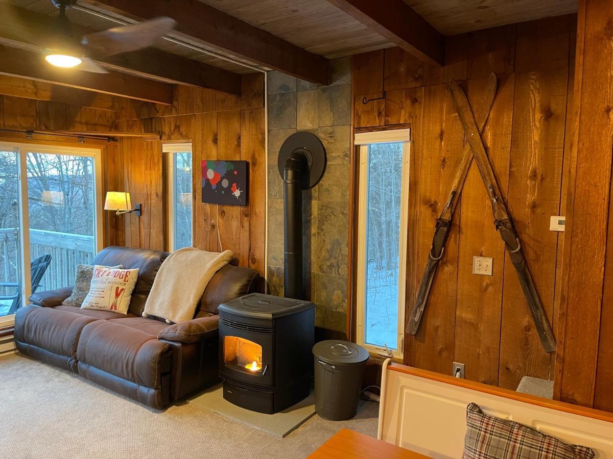 Mandy'S Mountain Chalet Dover المظهر الخارجي الصورة
