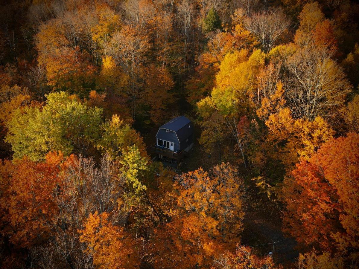 Mandy'S Mountain Chalet Dover المظهر الخارجي الصورة