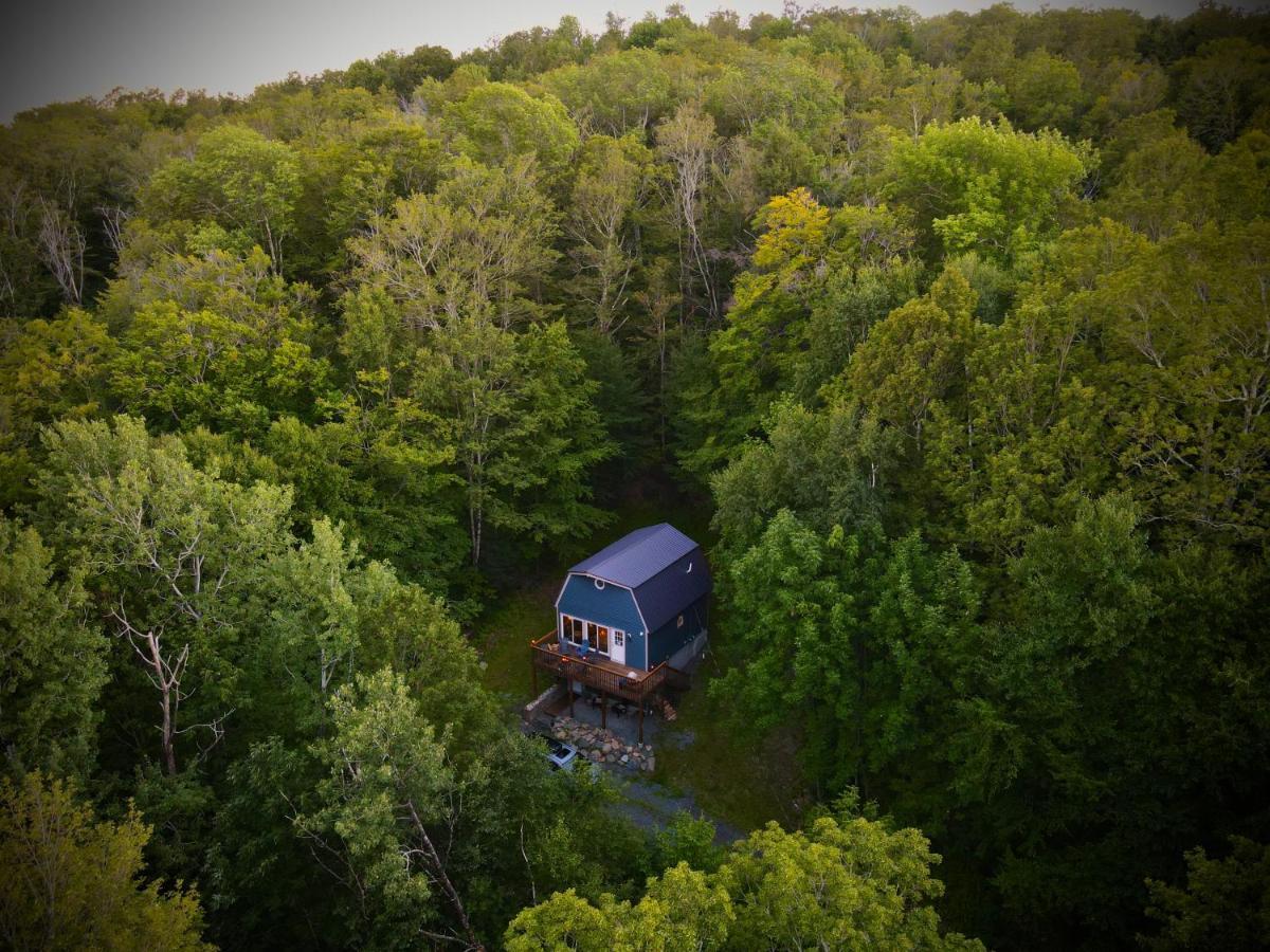 Mandy'S Mountain Chalet Dover المظهر الخارجي الصورة